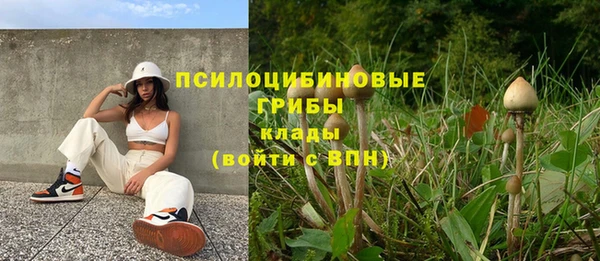 трава Балахна