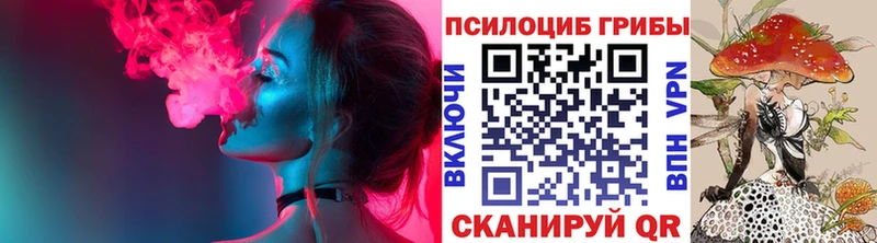 дарк нет какой сайт  купить закладку  Болгар  Псилоцибиновые грибы мицелий 